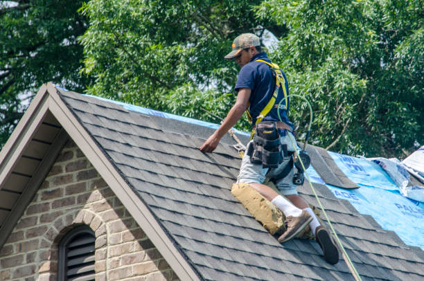 Best New Roof Installation  in Oshkosh, WI